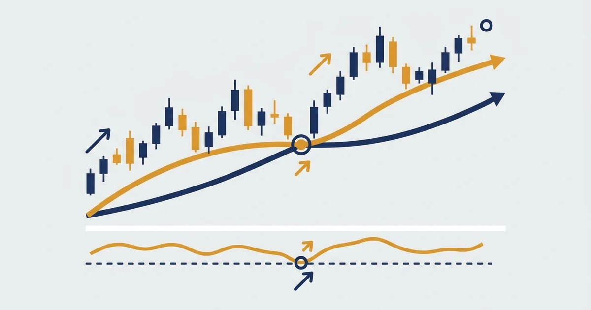 Bull Market: How to Spot One and Trade the Uptrend