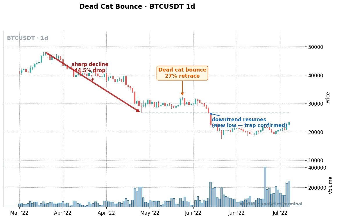 Dead cat bounce on Bitcoin's daily chart, a 27% bounce inside a 44.5% crash