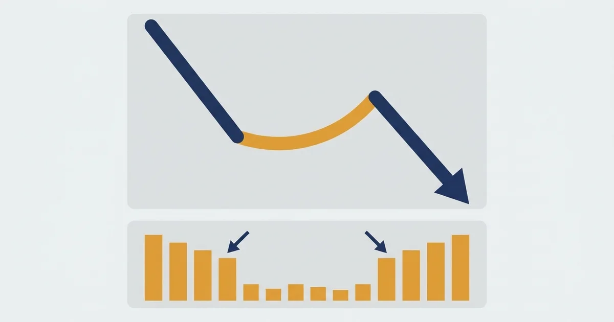Dead Cat Bounce: How to Spot the Trap and Trade It