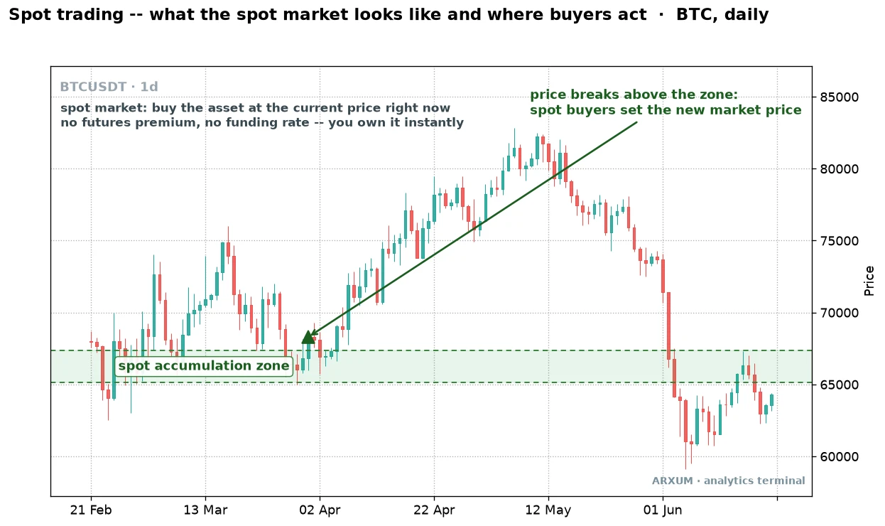Spot trading anatomy diagram on a Bitcoin daily chart showing a spot accumulation zone where buyers acquire the asset at the current price before price breaks above the zone