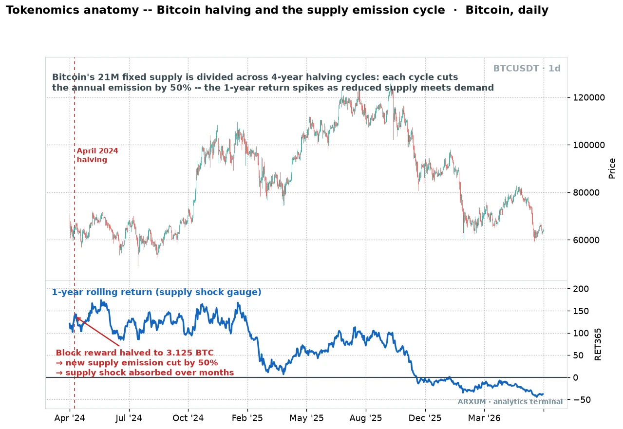 Tokenomics anatomy of Bitcoin, the fixed 21 million supply and four-year halving cycle cutting new token emission by 50 percent as price responds